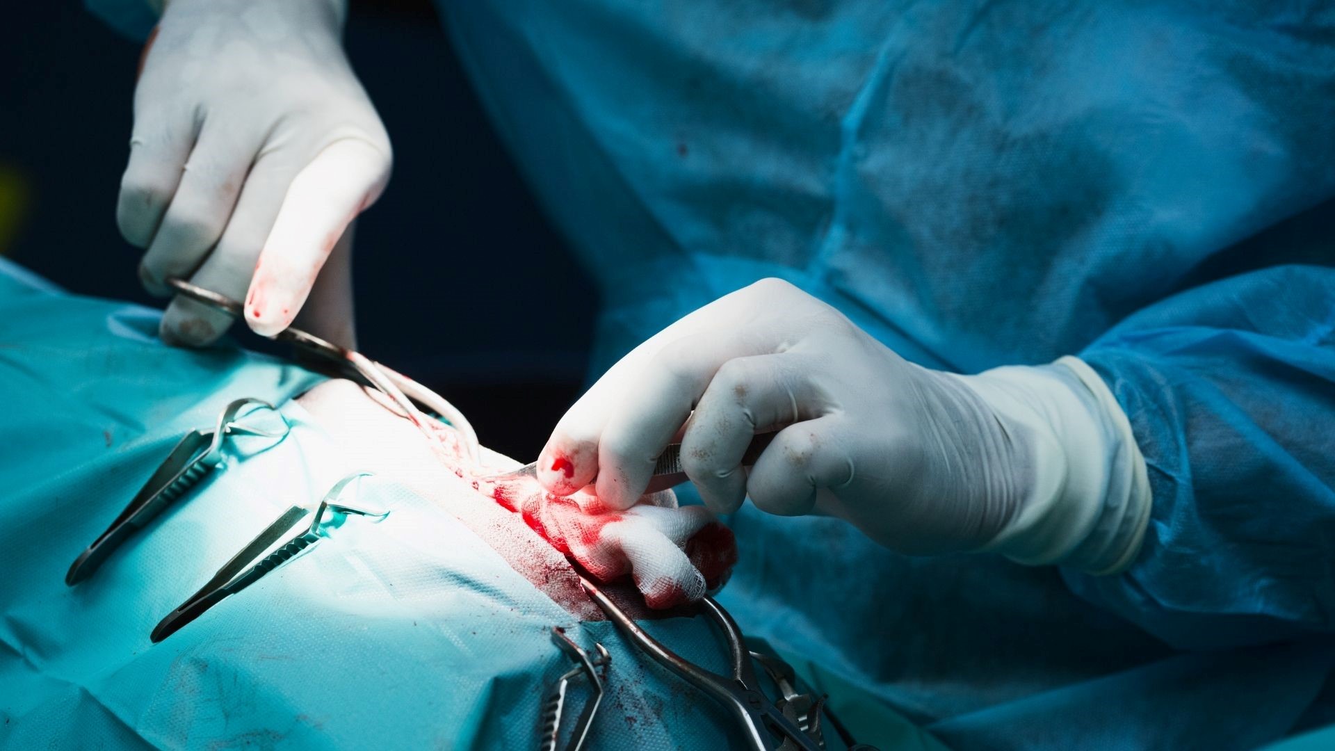 Sutures pour animaux
