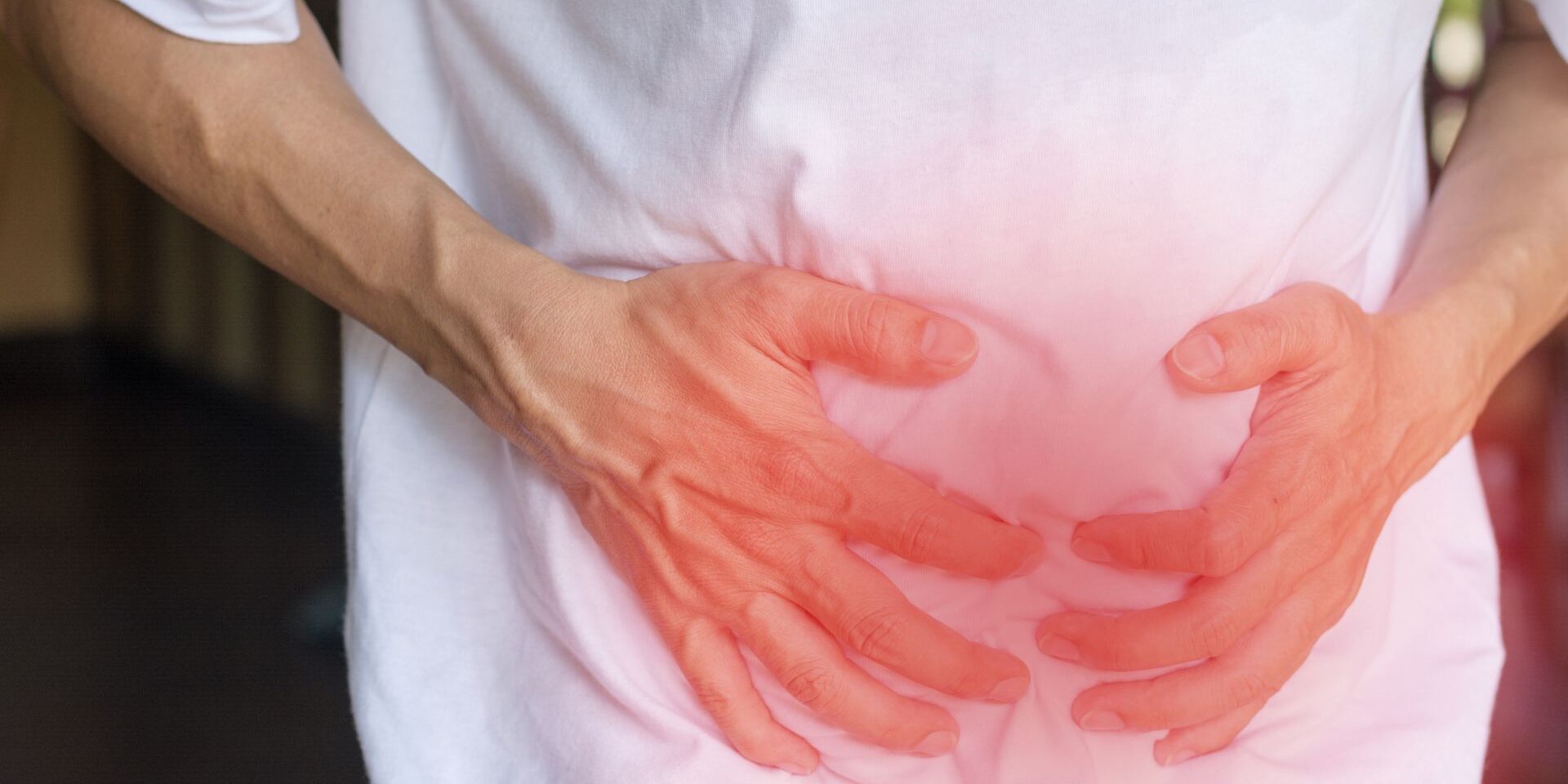 hernia mesh