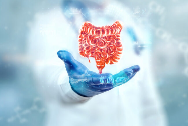surgical mesh