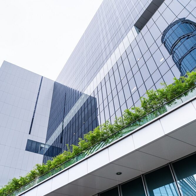 Suture Manufacturer in India 16